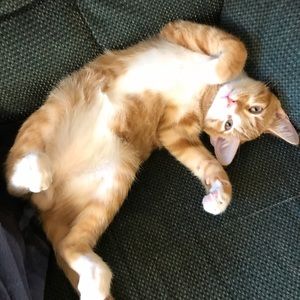 Meet your Posher, Mandy